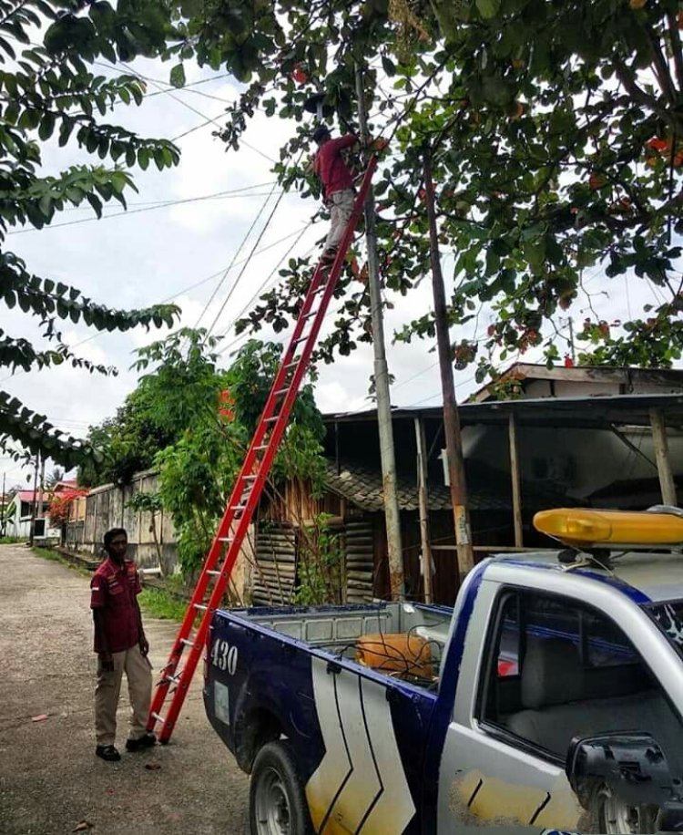 Dishub Pekanbaru dan PLN Tertibkan Penerangan Jalan Umum Ilegal