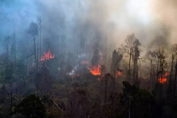 Akibat Karhutla, Kualitas Udara di Pekanbaru Mulai Tak Sehat