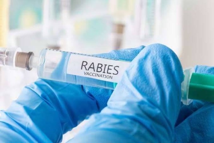 Dinas PKH Buka Vaksinasi Rabies Gratis, Ini Syaratnya..