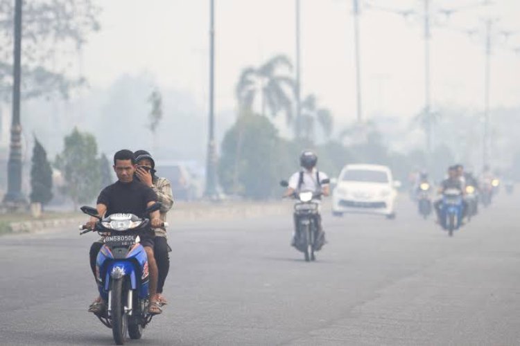 Dinkes Pekanbaru Beberkan Bahaya Kabut Asap Dan Tips Menjaga Kesehatan