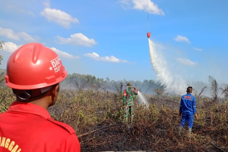 Luas Lahan Terbakar di Sungai Raya Inhu 62 Hektare, BPBD Riau Kerahkan Helikopter Water Bombing Super Puma dan Sikorsky