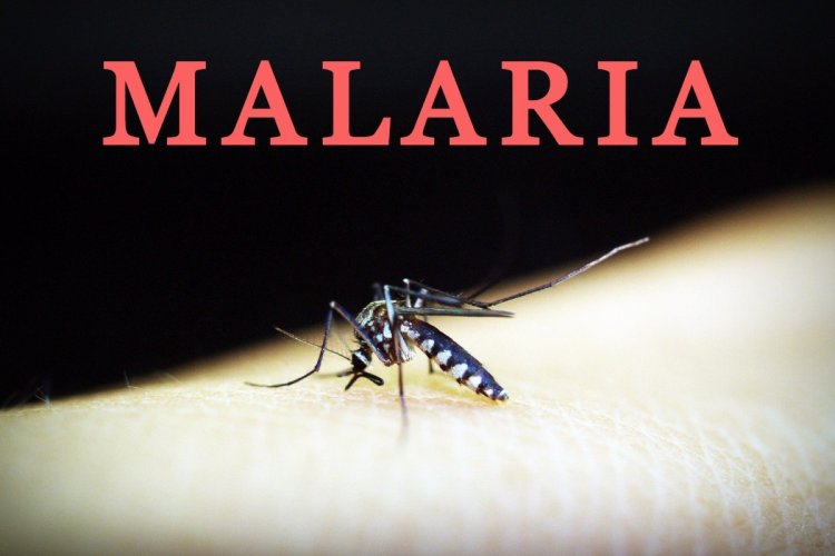 Pemkab Rokan Hilir Diminta Segera Tetapkan Status Darurat Malaria, Tembus 1.660 Kasus