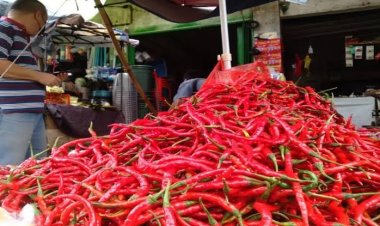 Dampak El Nino, Harga Cabai Merah Tembus Rp100 Ribu per Kilogram