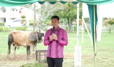 Saksikan Penyembelihan Hewan Qurban, Afrizal Sintong Minta Tumbuhkan Semangat Kurban