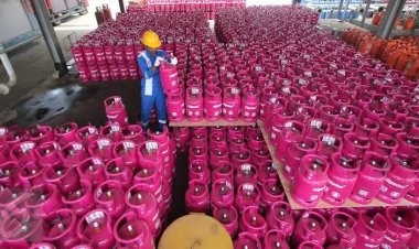 Hore! Pertamina Resmi Turunkan Harga LPG 5,5 & 12 Kg
