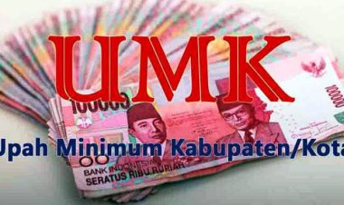 Berlaku Mulai 1 Januari, Dewan Pengupahan Sepakati UMK Pekanbaru 2024 Senilai Rp3.451.584