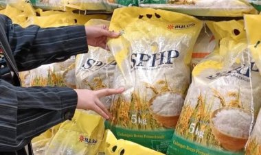HET Beras SPHP Rp11.500 per Kg, Silakan Lapor ke Disperindag Pekanbaru Jika Ada Pedagang Jual Lebihi Harga