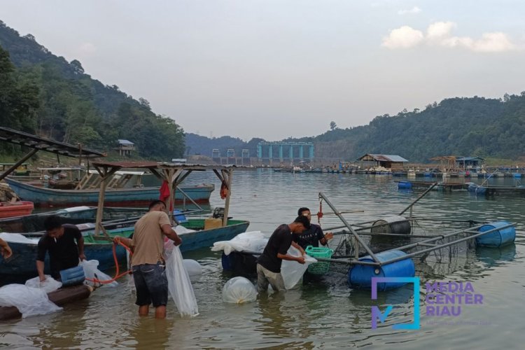 Elevasi Waduk 82.31 MDPL, PLTA Koto Panjang akan Buka Pintu Pelimpah Air