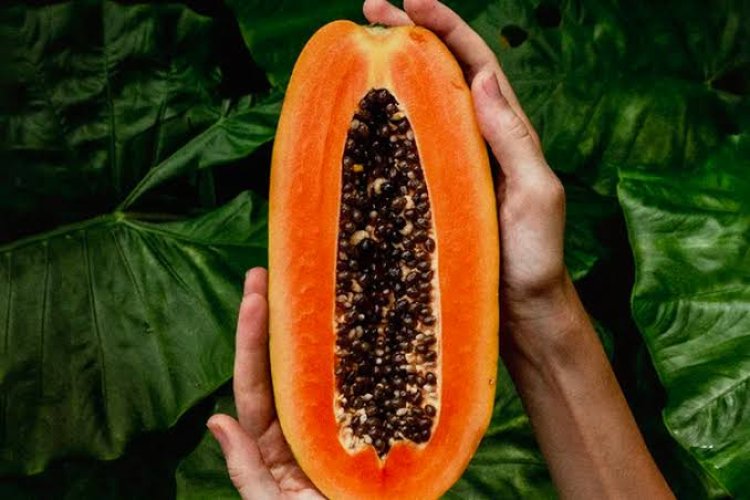 3 Manfaat Buah Pepaya bagi Tubuh