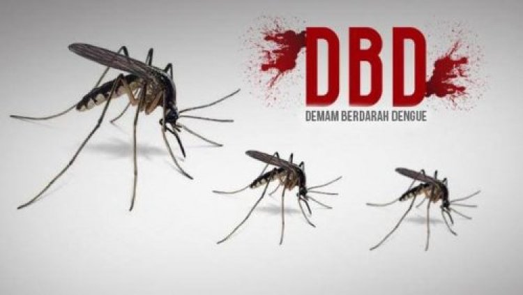 Antisipasi Kasus DBD di Pekanbaru, Diskes Imbau Warga Terus Lakukan 3M Plus