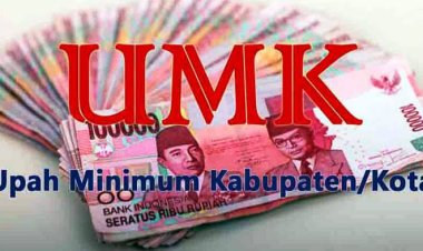 Gubri Edy Natar Nasution Sahkan UMK 2024 12 Kabupaten dan Kota di Riau, Ini Dia Daftarnya