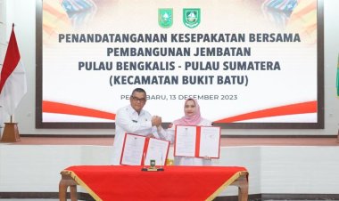 Gubri Edy Natar Nasution Ungkap 5 Alasan Jembatan Pulau Bengkalis-Pulau Sumatera Perlu Dibangun, Simak Rinciannya