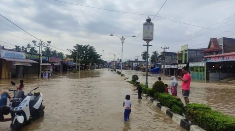 Curah Hujan Tinggi, BPBD Catat Lima Daerah di Riau Dilanda Banjir