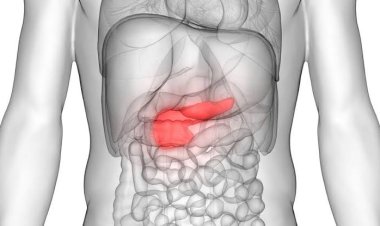 Berisiko Picu Kanker Pankreas, Dokter Anjurkan Pria Kurangi Konsumsi Daging Merah