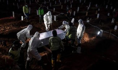 WHO Sebut 10.000 Orang Meninggal di Bulan Desember Karena Covid-19