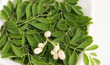 Kolesterol Naik Drastis, Buruan Rebus 6 Daun Ajaib Ini