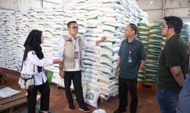 Stok Beras di Gudang Bulog Riau Kepri Cukup hingga Tiga Bulan ke Depan