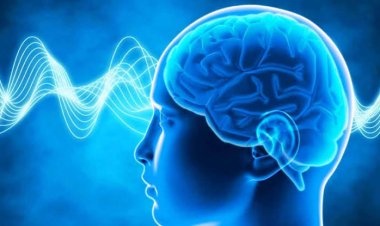 4 Makanan yang Bisa Bikin Kerja Otak Makin 'Jos' Menurut Ahli Jiwa