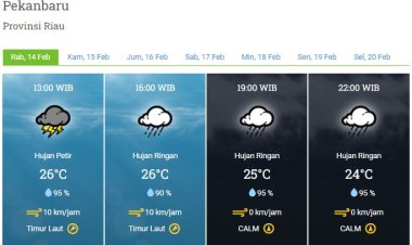 Prakiraan Cuaca BMKG, Sebagian Wilayah Riau Diguyur Hujan hingga Malam Hari Nanti