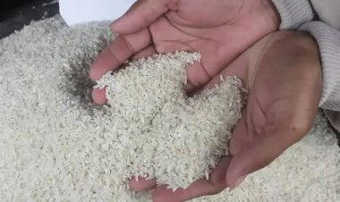 Bulog Jamin Harga Beras segera Turun