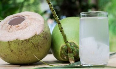 Ini Manfaat Buah Kelapa untuk Tubuh saat Berpuasa