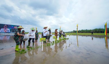 Tutup TMMD ke-119, Irjen AD Letjen Erwin Djatmiko dan Bupati Siak Tanam Padi di Sabak Auh