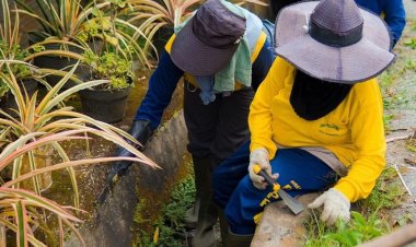 Tim OP Bina Marga PUPR Kota Pekanbaru Bersihkan Drainase di Jalan Akasia hingga Sungai Bata