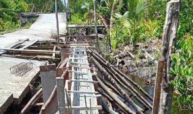 Antisipasi Banjir di Desa Mengkirau Kepulauan Meranti, Dinas PUPR PKPP Riau Bangun Tanggul 54 Meter