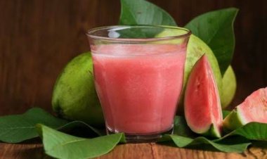 Konsumsi Jus Jambu Bisa Obati DBD, Berikut Faktanya