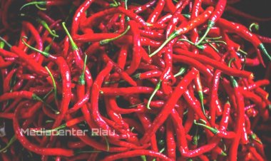 Inflasi Tertinggi Terjadi di Kabupaten Kampar 6,07 Persen dengan IHK 109,32, Ini Penyebabnya