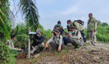 Harimau Serang Pekerja HTI di Pelangiran Inhil, BBKSDA Riau Pasang Lima Kamera Trap
