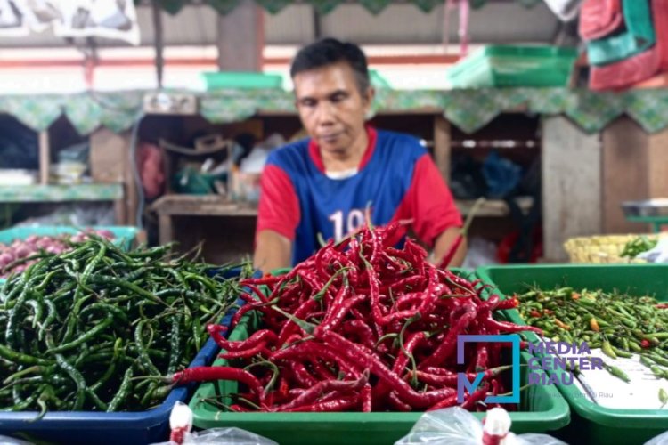 Harga Cabai Merah Naik Dari Rp60 Ribu Jadi Rp72 Ribu Per Kg Di