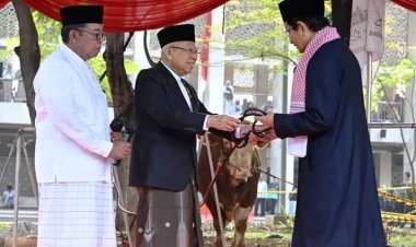 Wapres KH Ma’ruf Amin dan Istri Salat Idul Adha 1445 H di Masjid Istiqlal Jakarta, Serahkan Hewan Kurban di Sejumlah Masjid