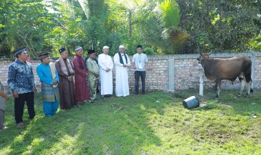 Salat Ied di Sungai Apit, Bupati Siak Alfedri Serahkan 1 Ekor Sapi Kurban Untuk Masyarakat