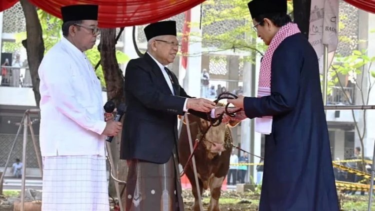 Wapres KH Ma’ruf Amin dan Istri Salat Idul Adha 1445 H di Masjid Istiqlal Jakarta, Serahkan Hewan Kurban di Sejumlah Masjid