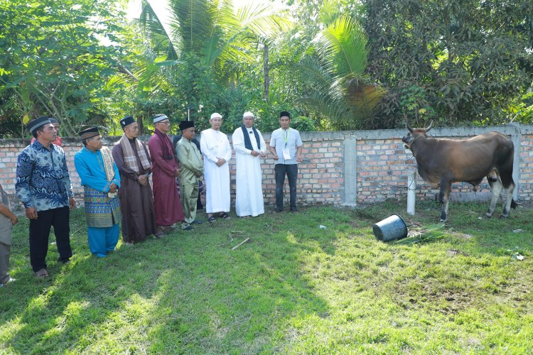 Salat Ied di Sungai Apit, Bupati Siak Alfedri Serahkan 1 Ekor Sapi Kurban Untuk Masyarakat