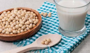 Kandungan Nutrisi dan Manfaat Kedelai untuk Kesehatan Tubuh