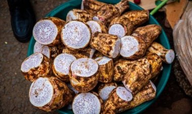 5 Camilan Penurun Asam Urat