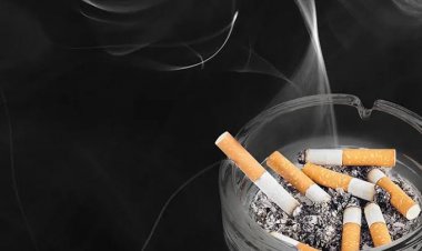 60 Persen Warga Pekanbaru Berisiko Penyakit Paru Obstruktif Kronik