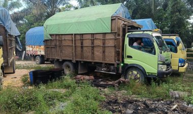 Empat Truk Angkut Kayu Ilegal Logging, Seorang Sopir Berhasil Diamankan di Desa Lipat Kain Utara Kampar