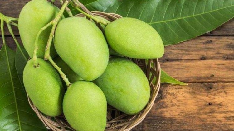 Ternyata Ini Manfaat Buah Mangga Muda untuk Kesehatan