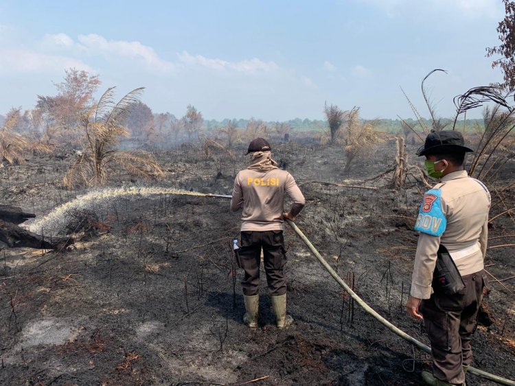 311 Hektare Lahan Terbakar di Tiga Desa, Wakapolres Inhu Berjibaku Padamkan Api Karhutla