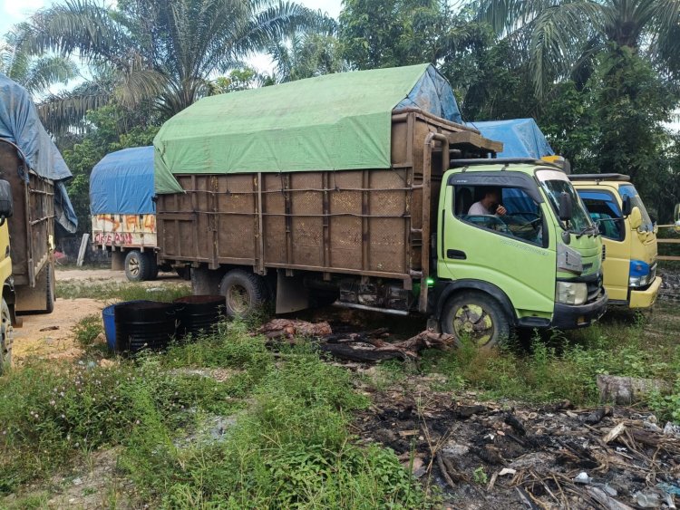 Empat Truk Angkut Kayu Ilegal Logging, Seorang Sopir Berhasil Diamankan di Desa Lipat Kain Utara Kampar