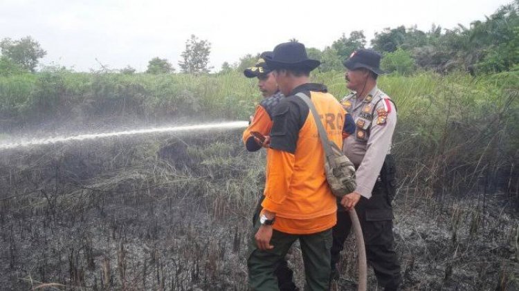 Sudah 13 Kali Karhutla di 6 Kecamatan, Pemko Pekanbaru Belum Tetapkan Siaga Darurat Karhutla