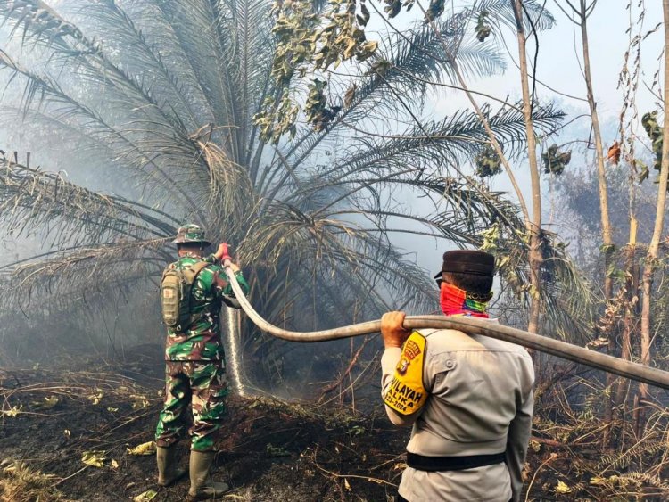 Karhutla di Rohil, TNI-Polri Kompak Bahu Membahu Padamkan Api