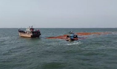 KLM Ray Moon III Bermuatan 160 Ton Kelapa Tenggelam di Perairan Pulau Rangsang Kepulauan Meranti
