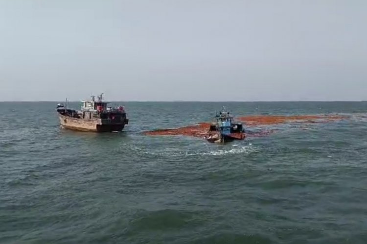 KLM Ray Moon III Bermuatan 160 Ton Kelapa Tenggelam di Perairan Pulau Rangsang Kepulauan Meranti