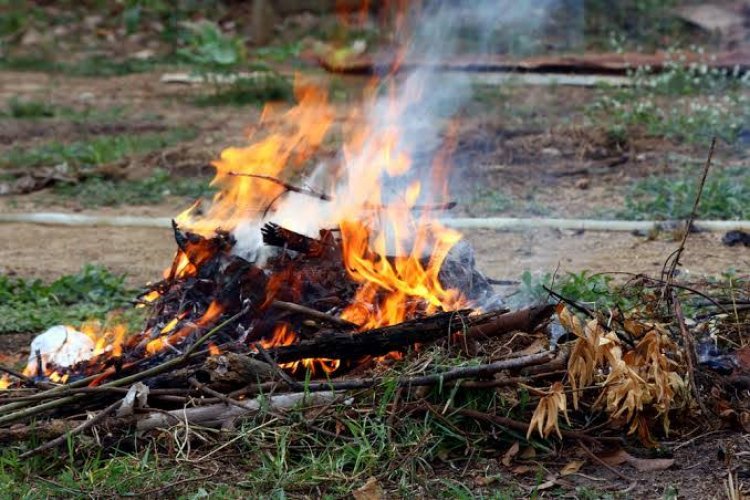 Masuki Musim Kemarau, Masyarakat Pekanbaru Jangan Bakar Lahan atau Sampah Sembarangan