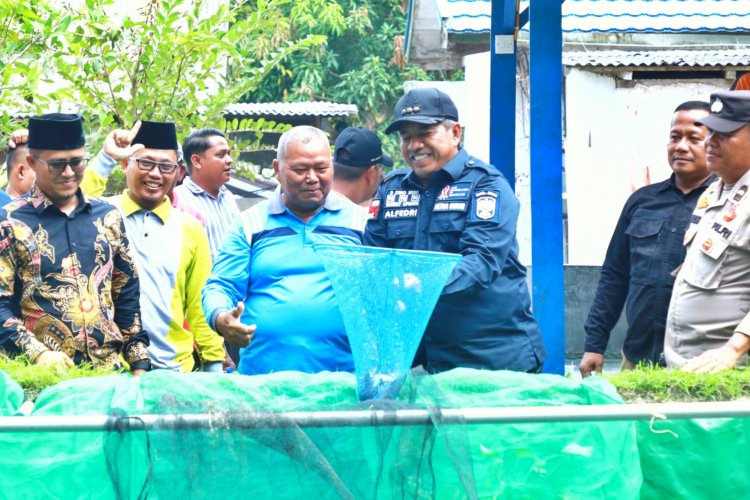 Bupati Siak Alfedri Panen Perdana Budidaya Lele