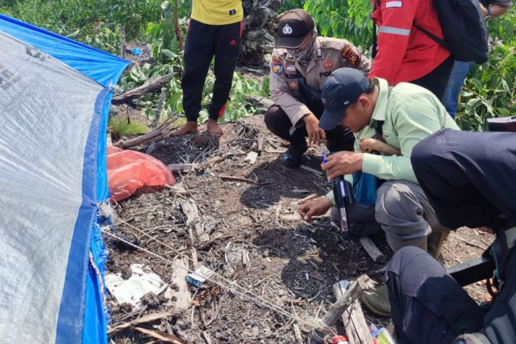 Jali Pekerja Sub Kontraktor Sinar Mas Group Diterkam Harimau di Kawasan Konsesi Desa Pulau Muda